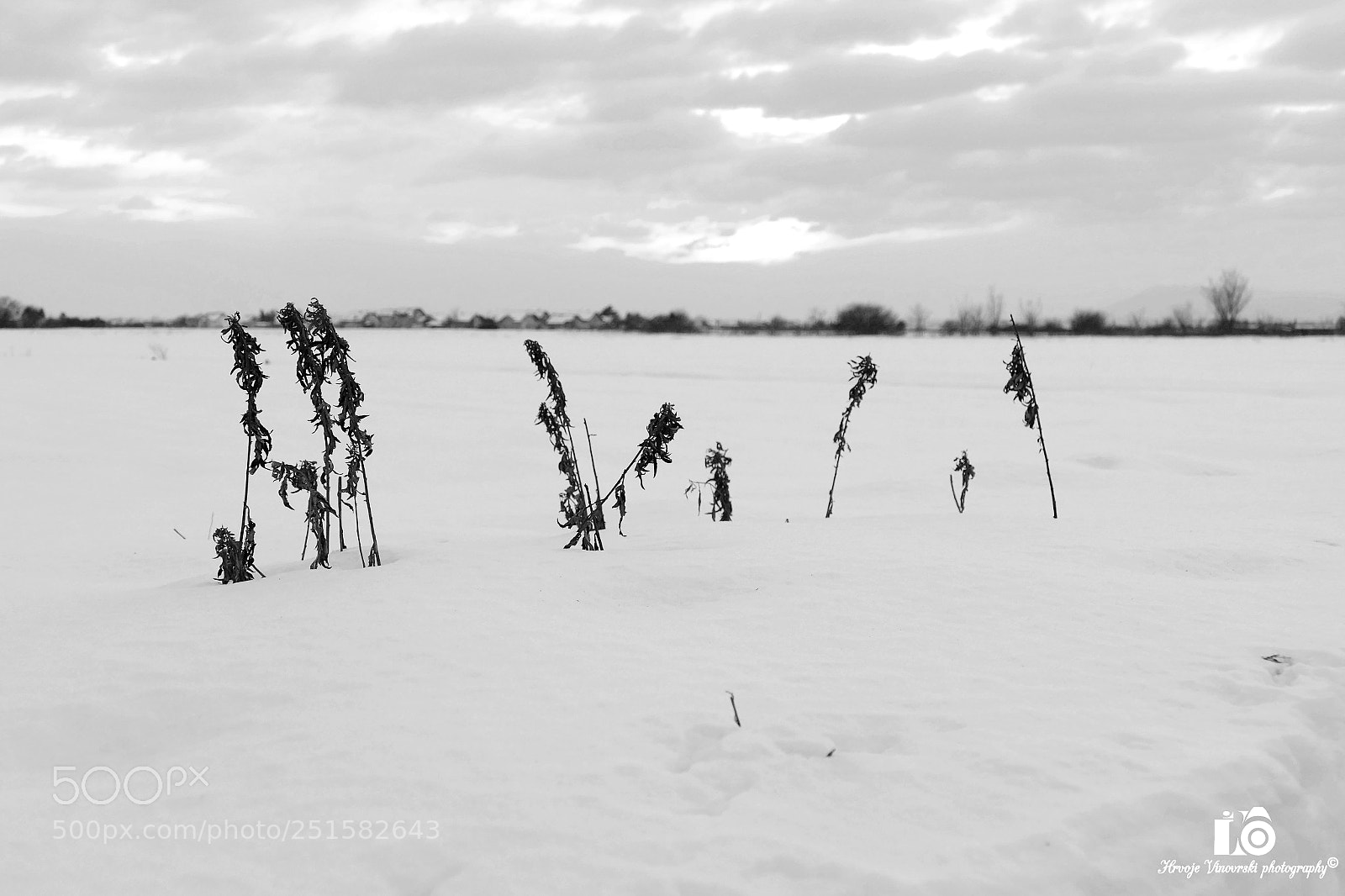 Panasonic Lumix DMC-FZ1000 sample photo. Fields in snow b photography