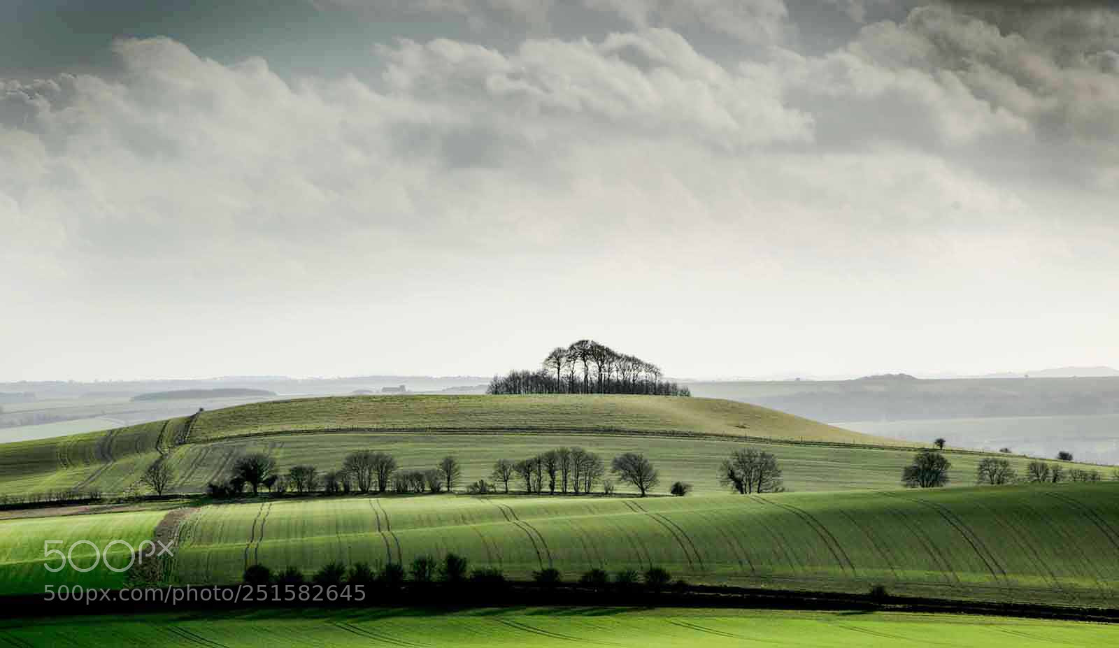 Nikon D5300 sample photo. Pewsey vale (of )web photography