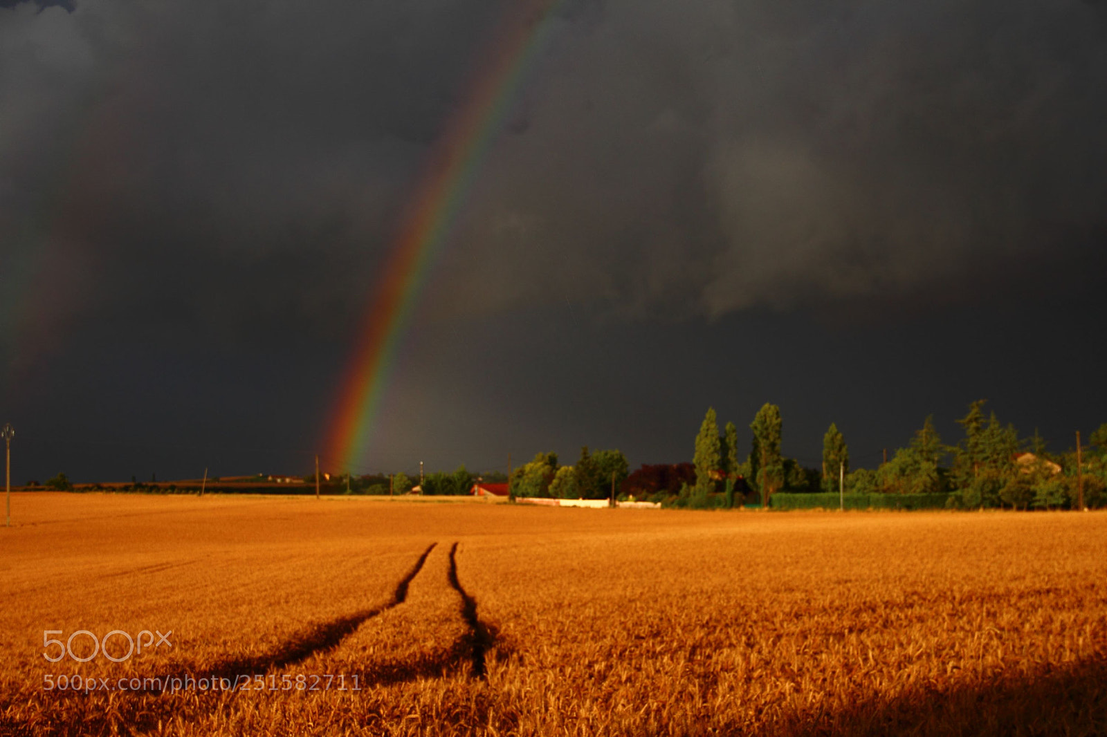 Canon EF-S 18-135mm F3.5-5.6 IS sample photo. Onweer photography