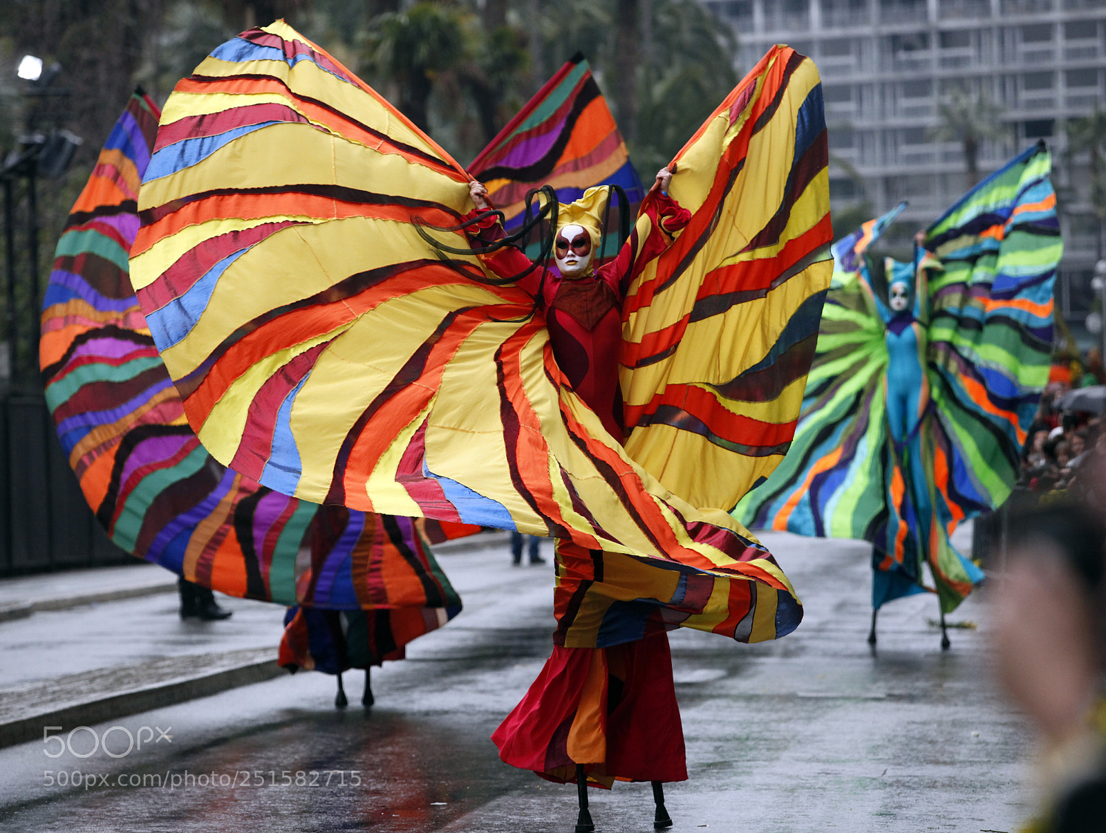Canon EOS 5D Mark II sample photo. Nice flower carnaval 2018 photography
