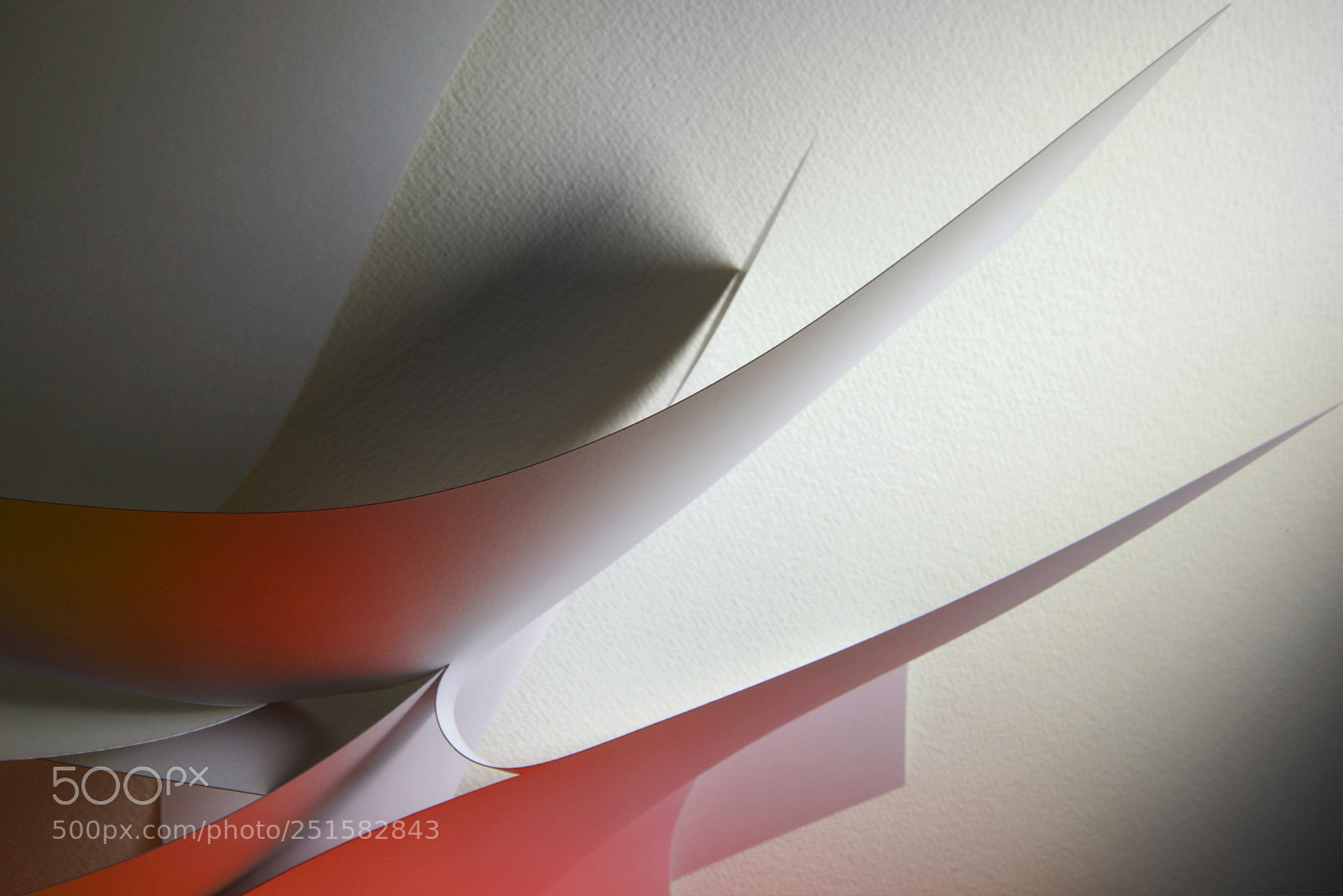 Nikon D810 sample photo. Sharpening the reds photography