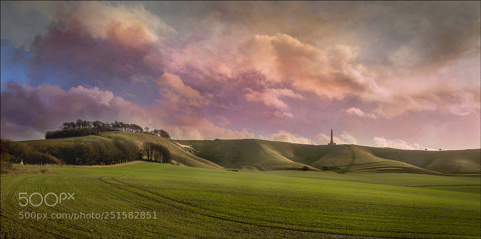 Nikon D5300 sample photo. White horse cherhill evening photography