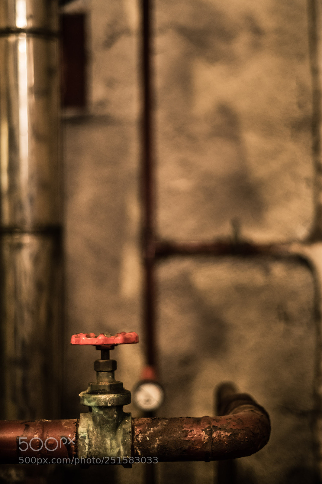 Nikon D850 sample photo. Jura (2017) photography