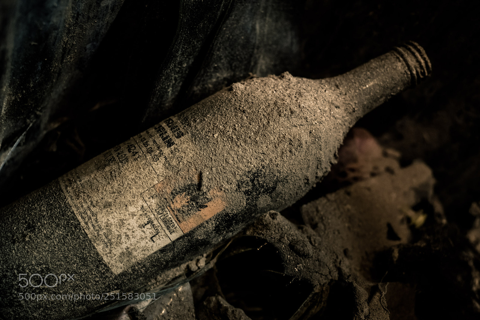 Nikon D850 sample photo. Jura (2017) photography