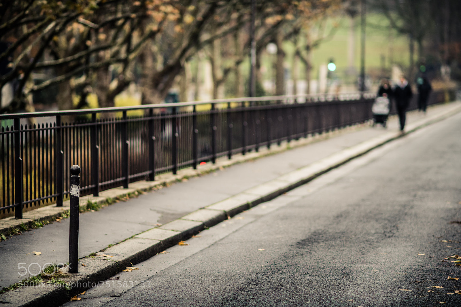 Nikon D850 sample photo. Sans titre photography