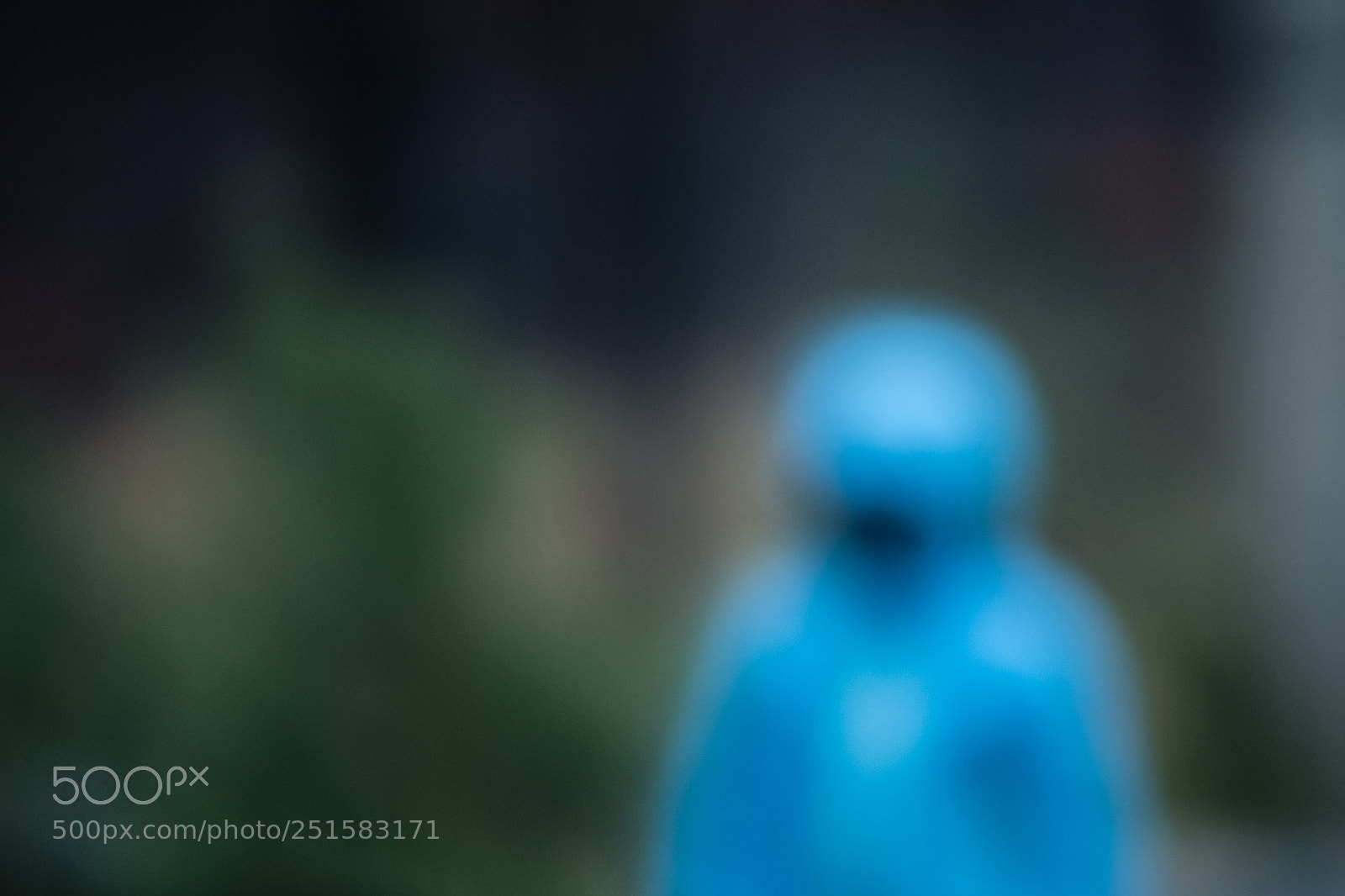 Nikon D850 sample photo. Sans titre photography