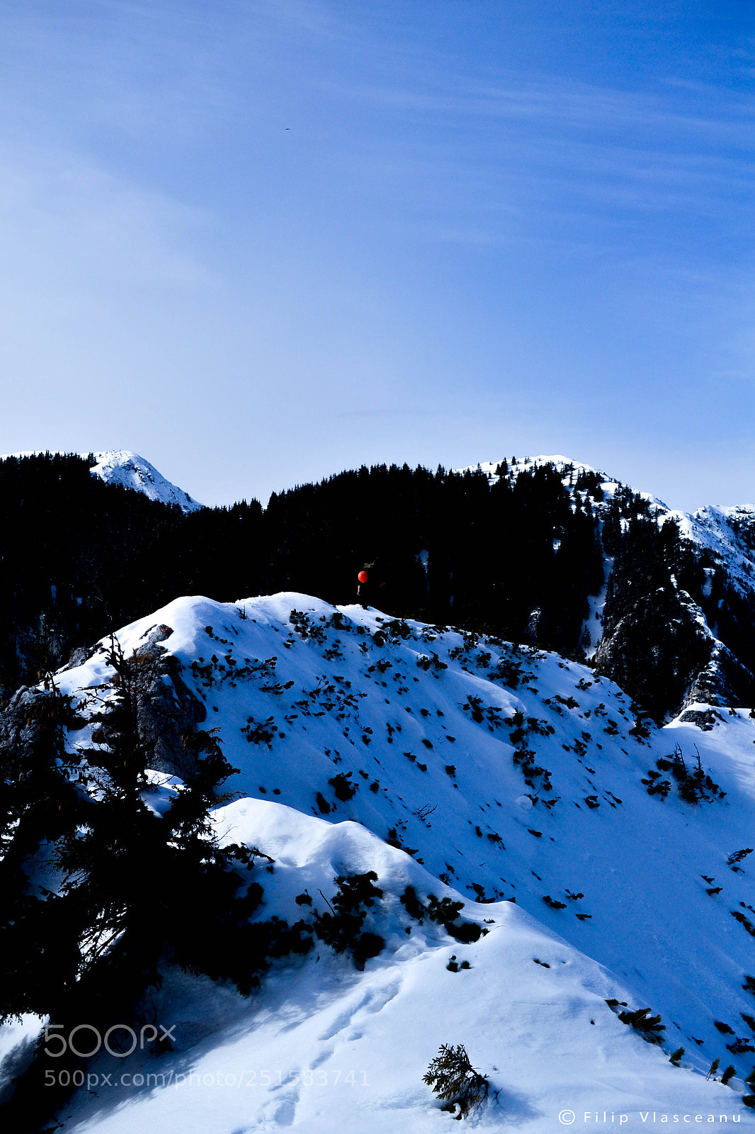 Nikon D3100 sample photo. Untitled photography