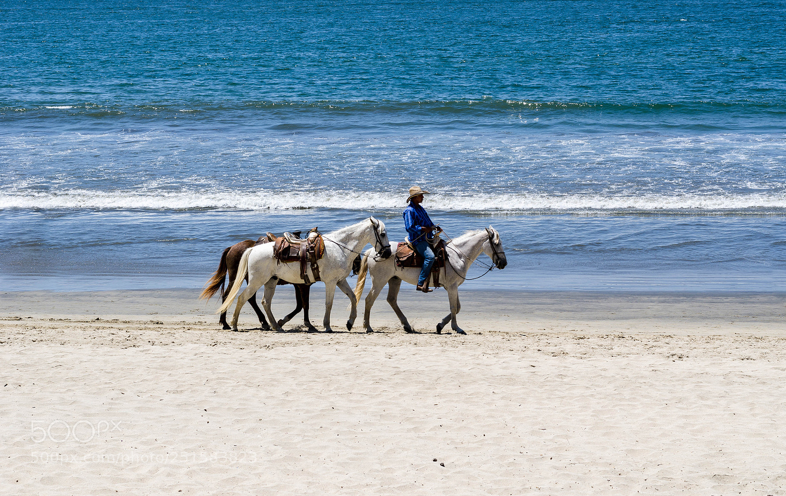 Nikon D7000 sample photo. Three amigos on the photography