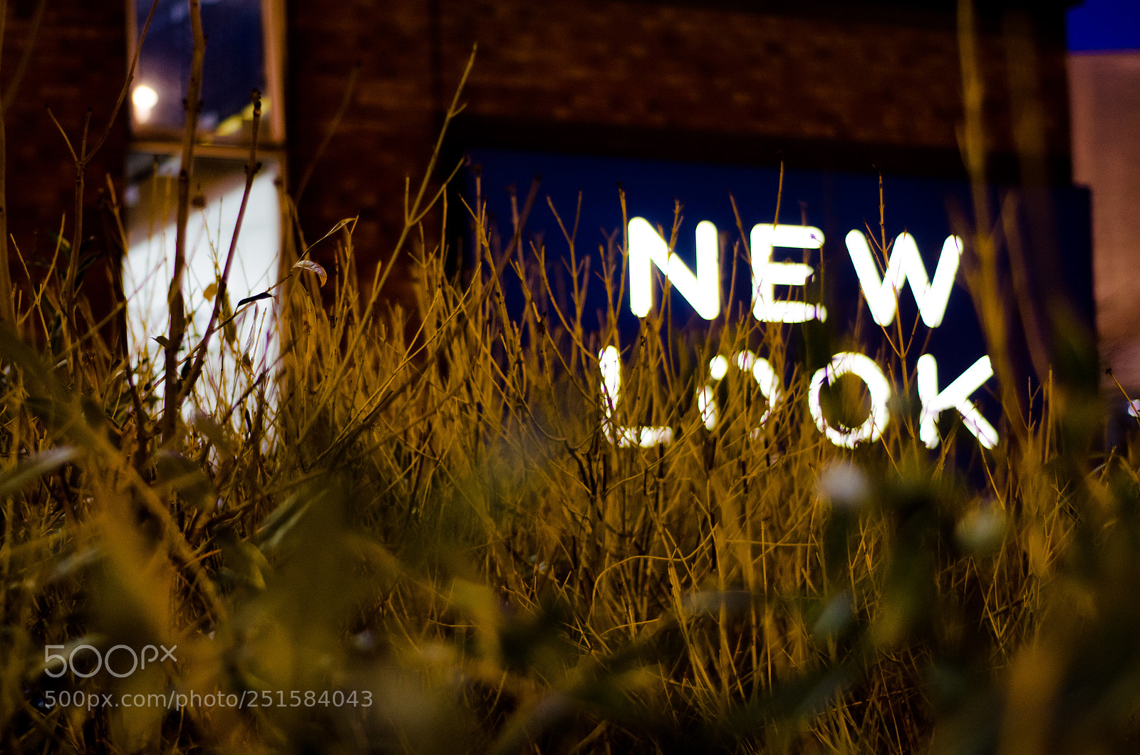 Nikon D5100 sample photo. New look photography