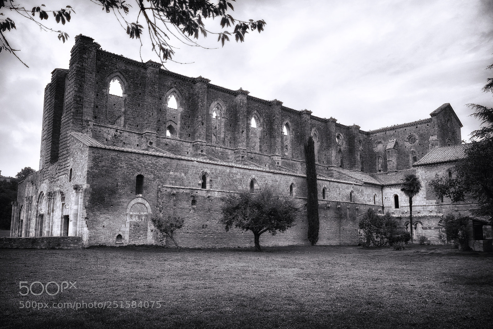 Nikon D7100 sample photo. Abbazia di san galgano photography