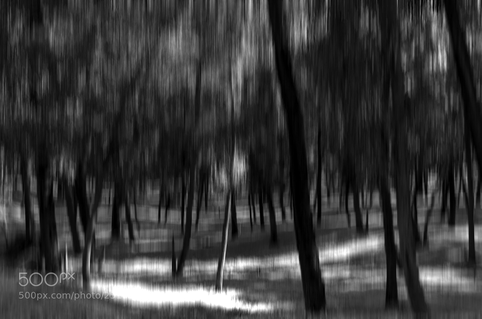 Pentax K-5 sample photo. Mysti forest photography