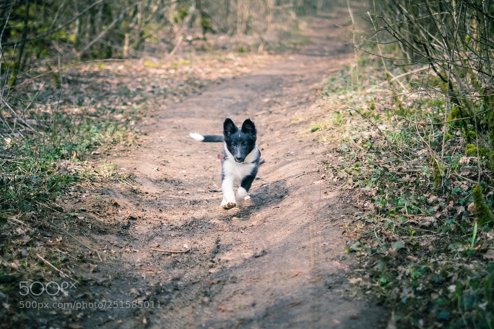 Fujifilm X-T20 sample photo. Onix photography