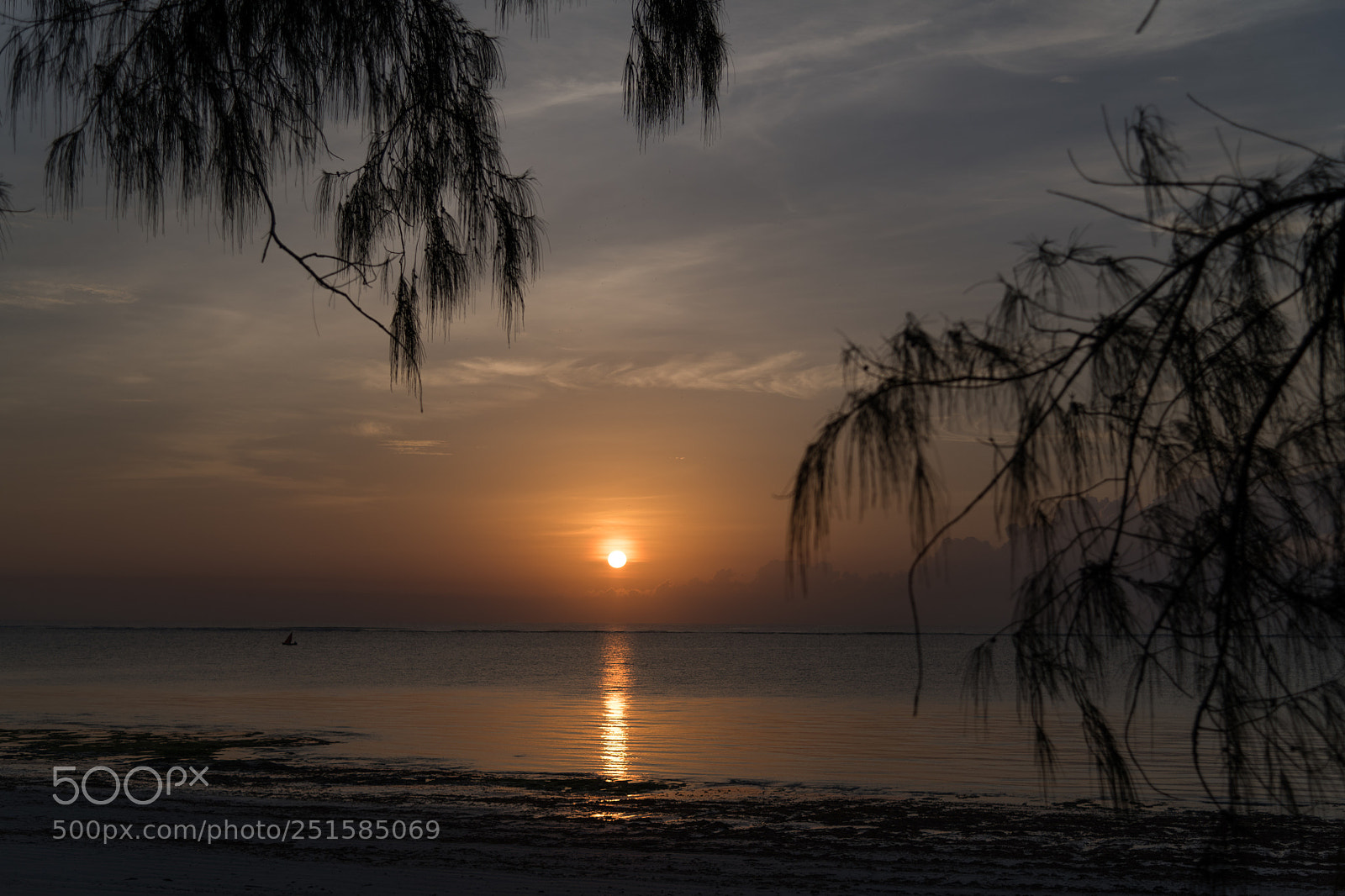 Nikon D850 sample photo. 2354.jpg photography