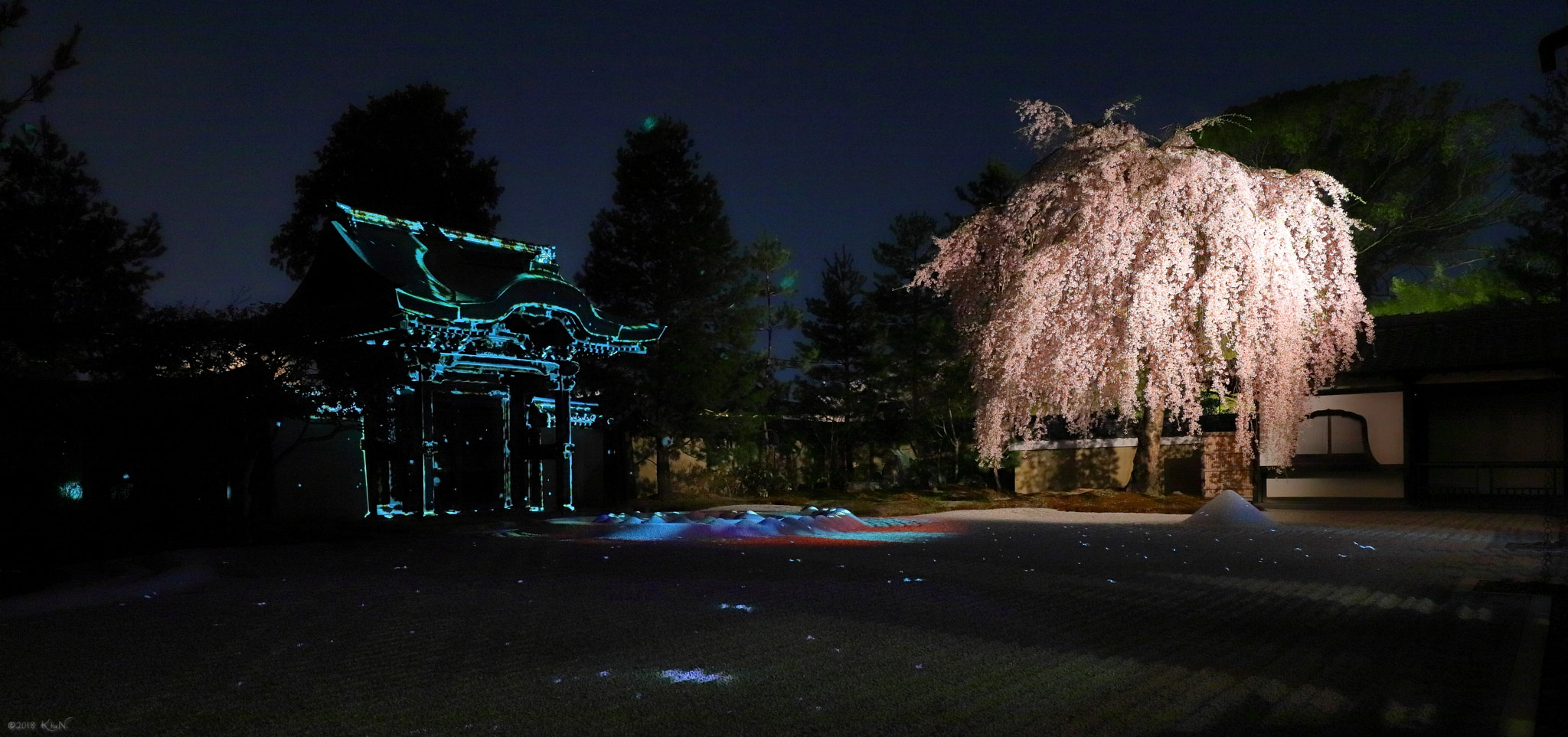 Canon EF 16-35mm F4L IS USM sample photo. Cherry blossom × gate projection photography