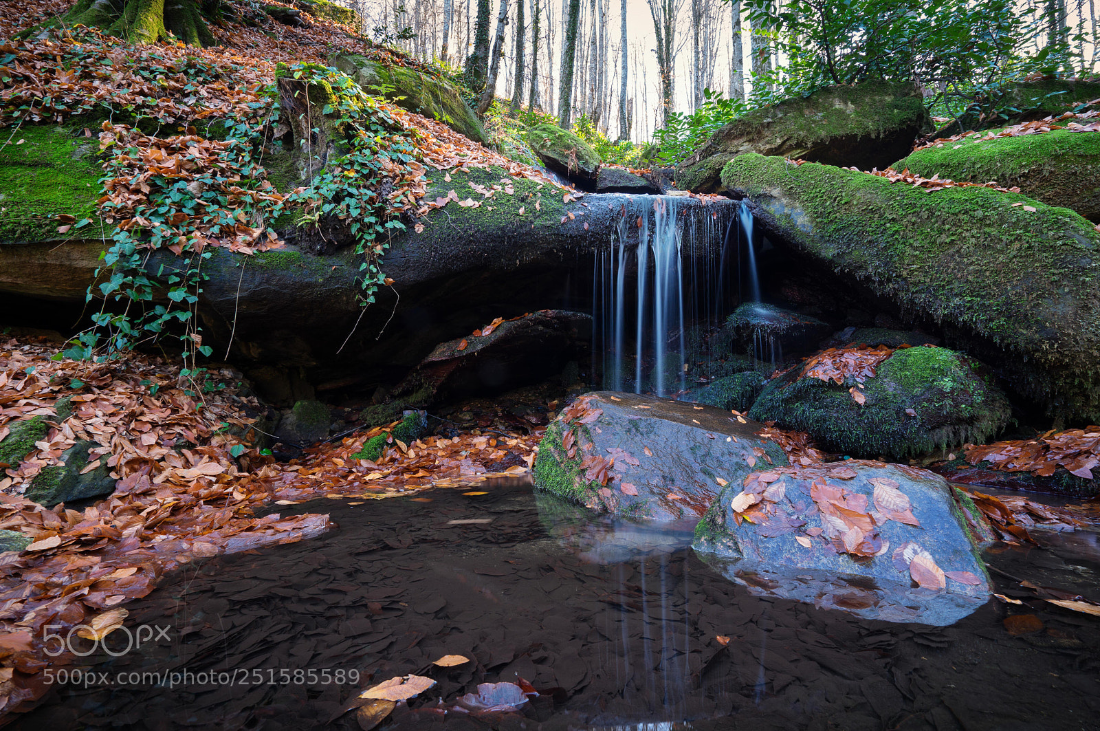 Sony a7 sample photo. Su1* photography