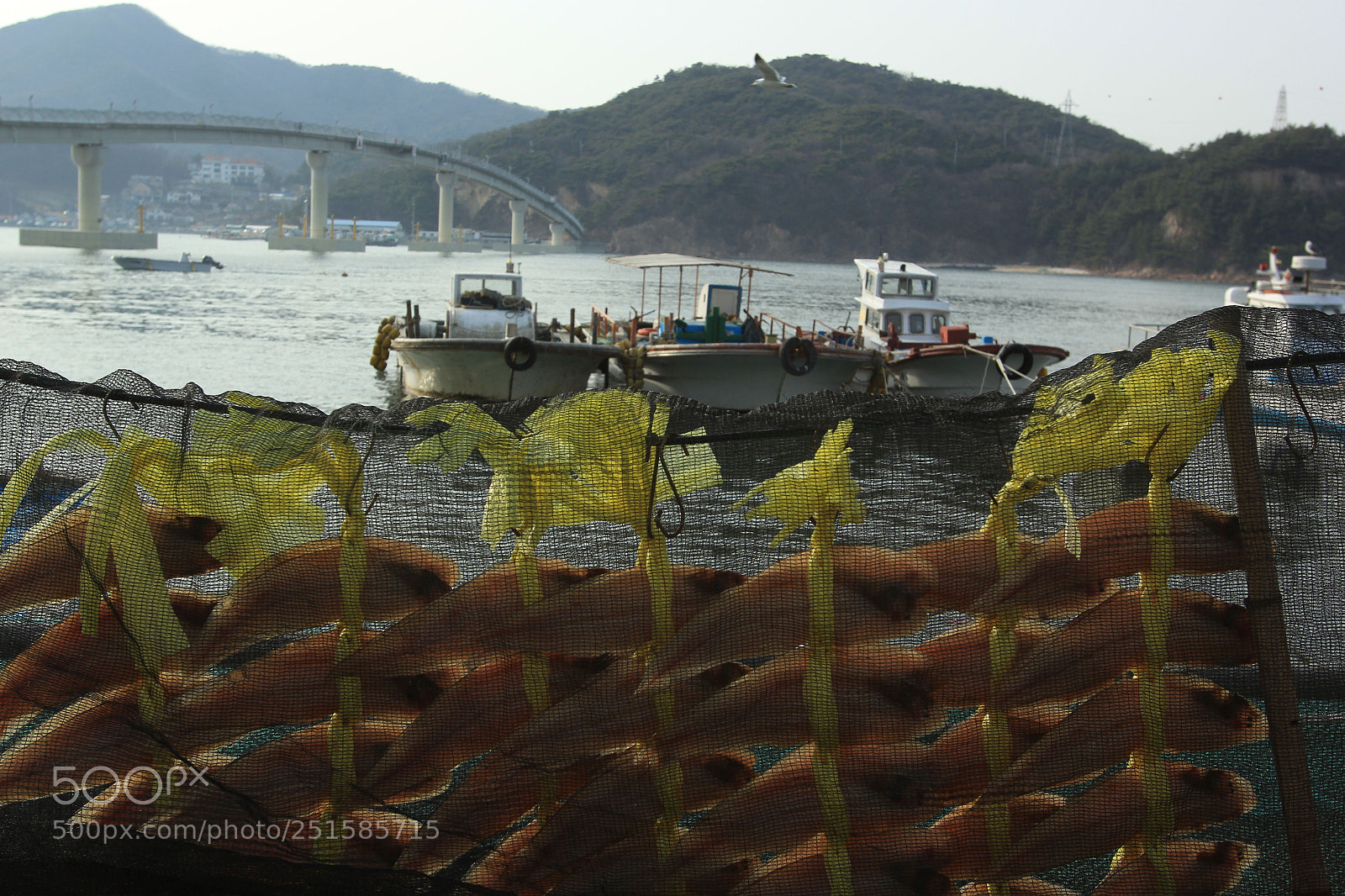 Canon EOS 60D sample photo. Untitled photography