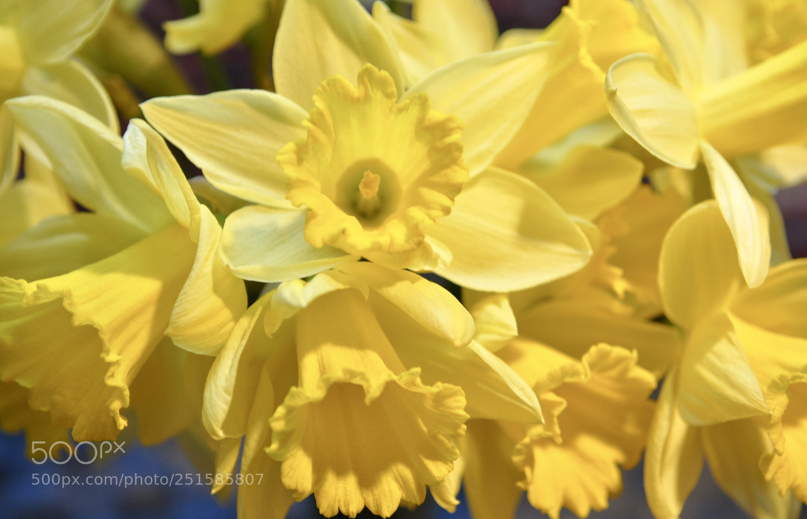 Nikon D90 sample photo. Happy easter ................ photography