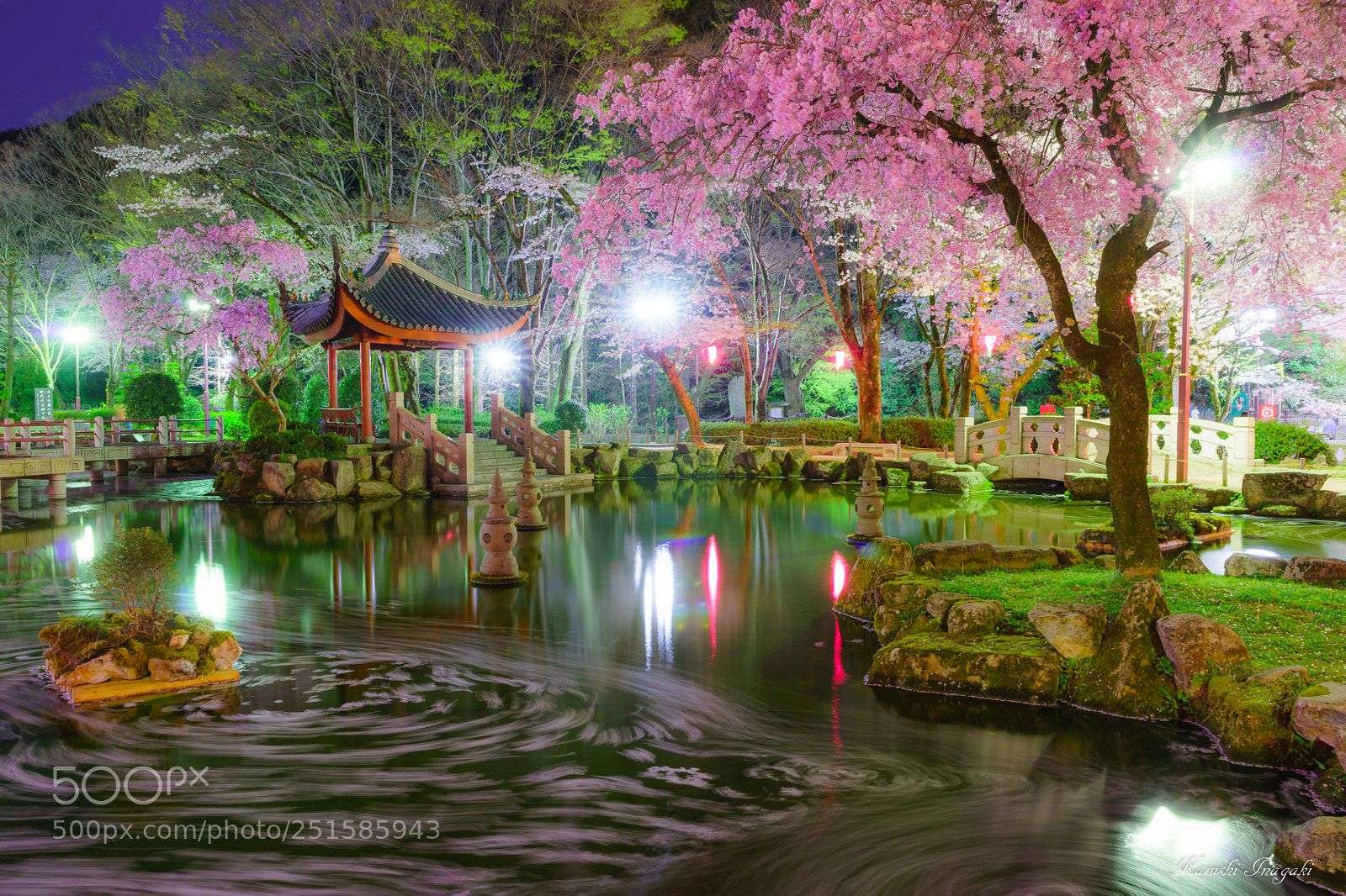 Sony SLT-A99V sample photo. Flower raft of japan photography