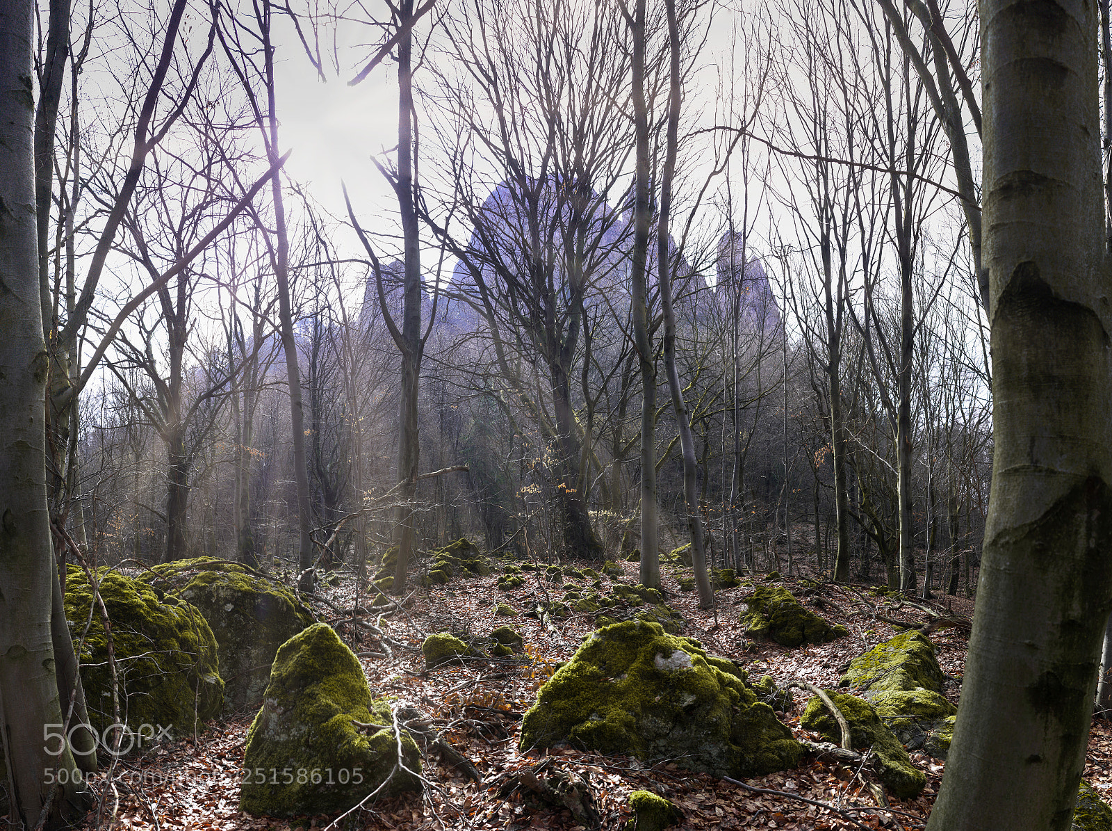 Canon EOS 7D sample photo. Panorama photography
