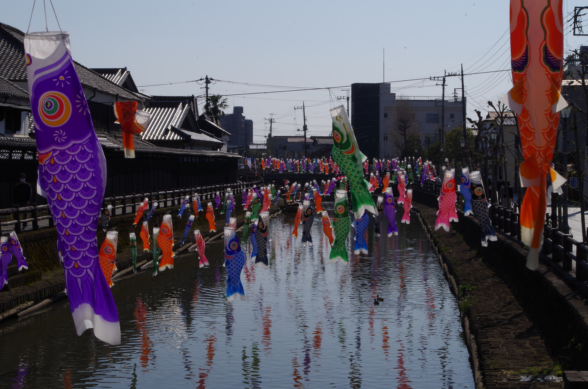 Pentax K-30 sample photo. Uzuma-no-koinobori photography