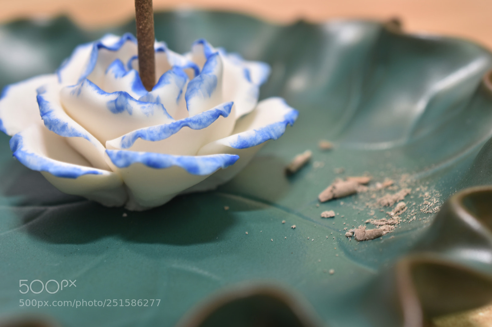 Nikon D7200 sample photo. Untitled photography