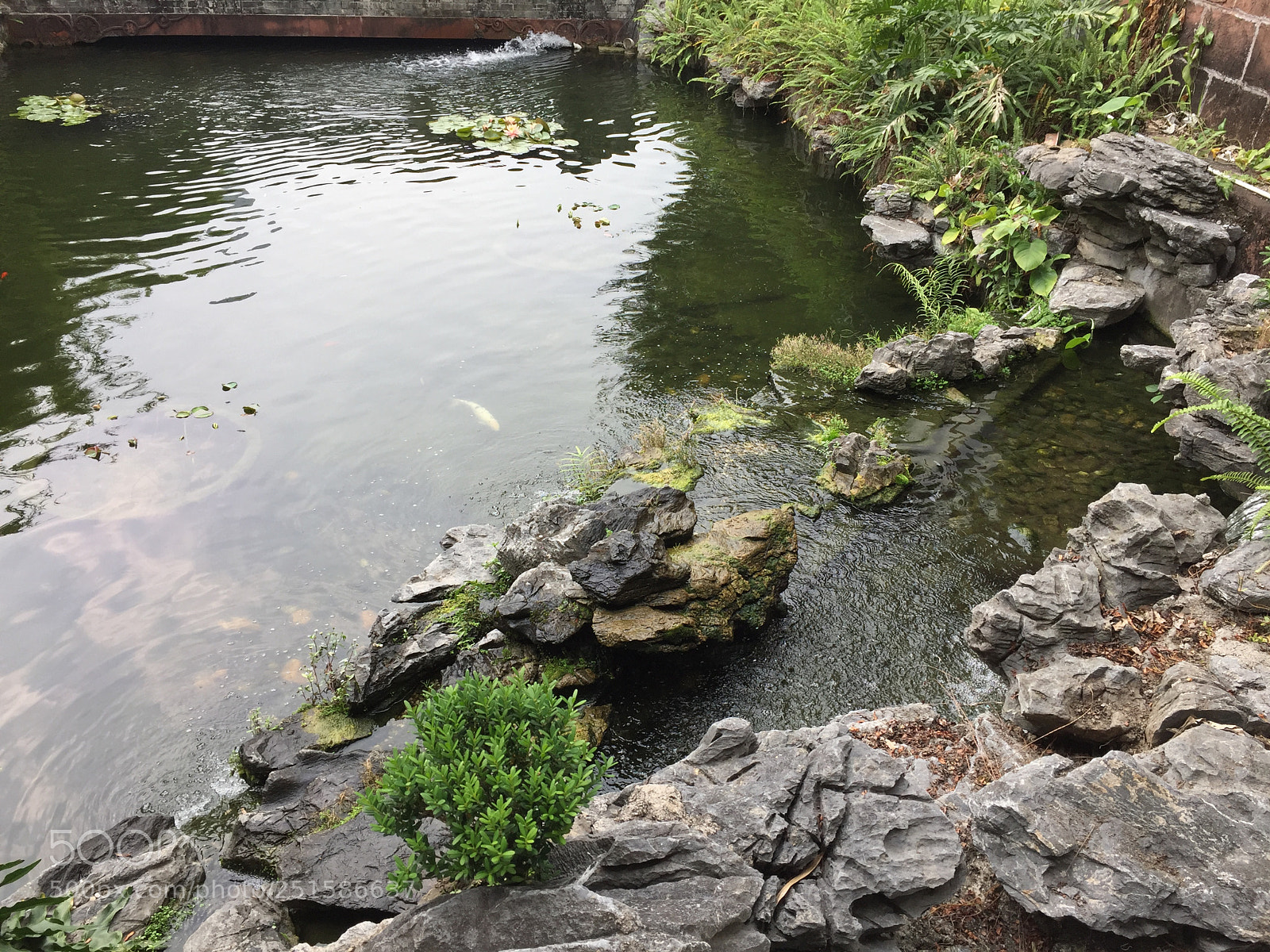 Apple iPhone 6 sample photo. Keyuan lovely garden in photography