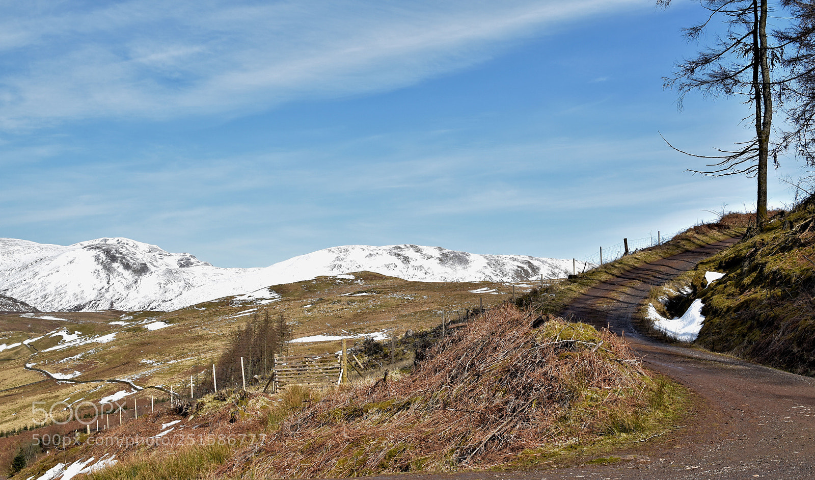 Nikon D5500 sample photo. Callander walk 3 photography