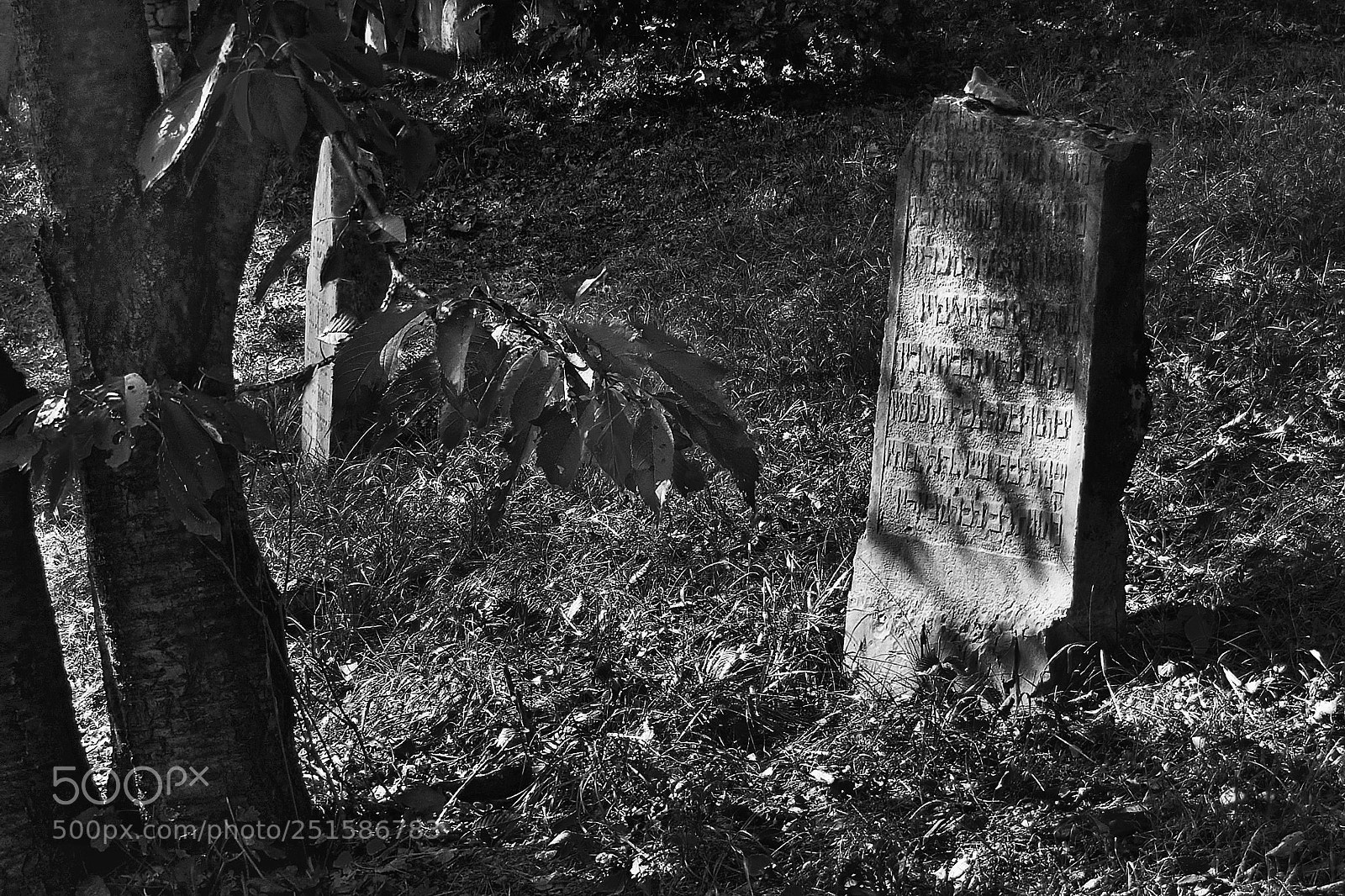 Panasonic Lumix DMC-G85 (Lumix DMC-G80) sample photo. Jewish cemetery photography