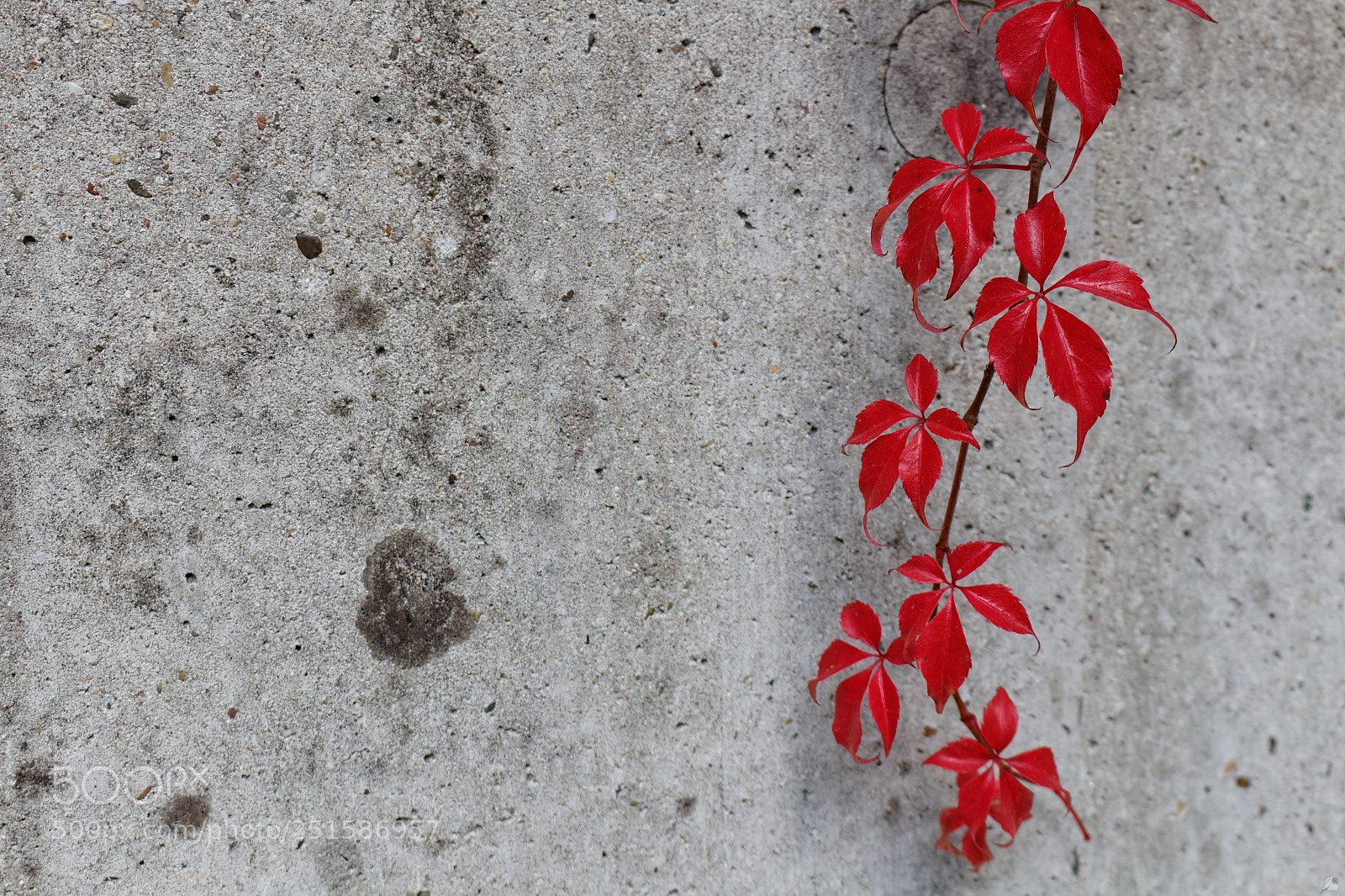 Canon EOS 700D (EOS Rebel T5i / EOS Kiss X7i) sample photo. Canada photography
