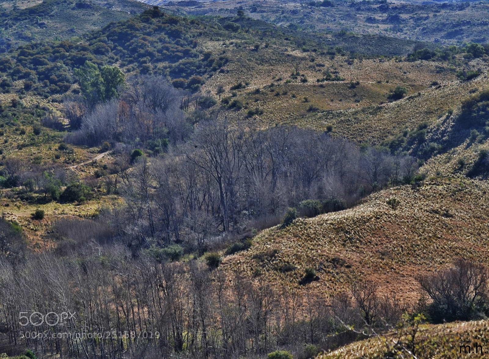 Nikon D3100 sample photo. O photography