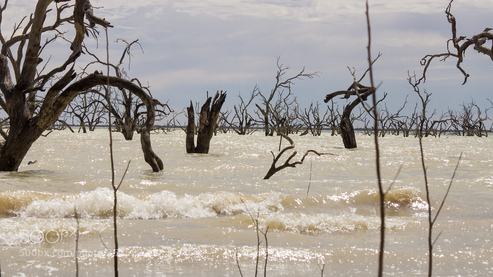 Sony SLT-A77 sample photo. Windy day at lake photography