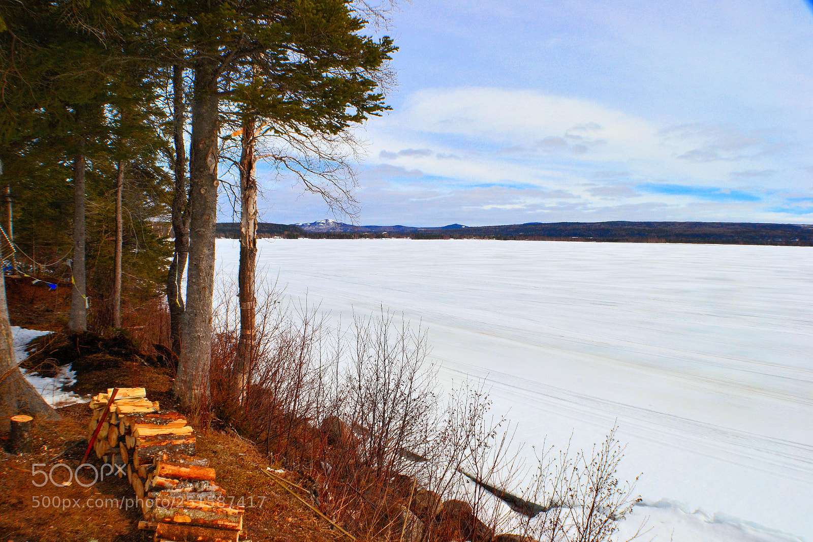 Nikon D3100 sample photo. West pond still frozen photography