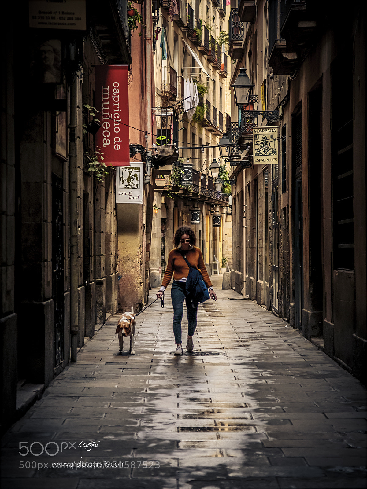 Canon EOS 5D Mark IV sample photo. Walking with dog photography