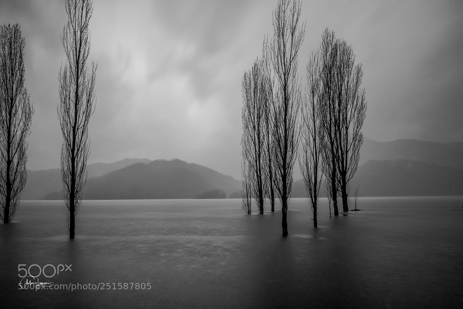 Fujifilm X-T2 sample photo. The voice of silence photography