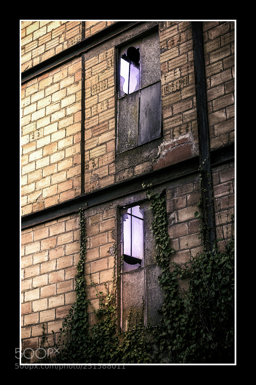 Leica D-Lux (Typ 109) sample photo. Brick wall photography