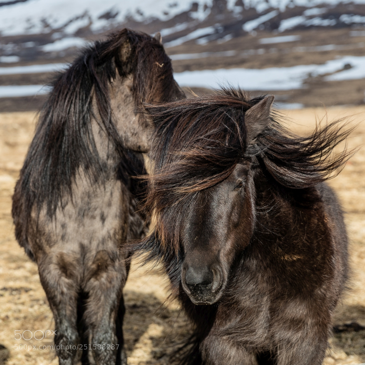 Canon EOS 5DS sample photo. Island workshop march 2018 photography