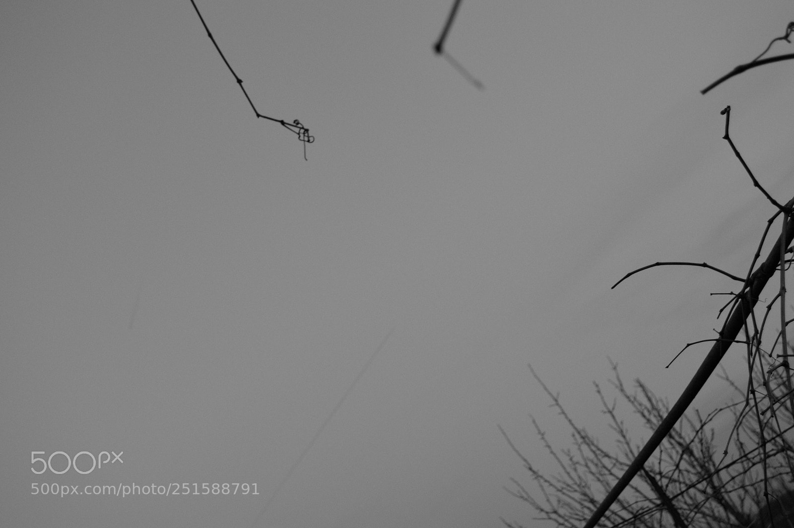 Nikon D3200 sample photo. Alone in the sky photography
