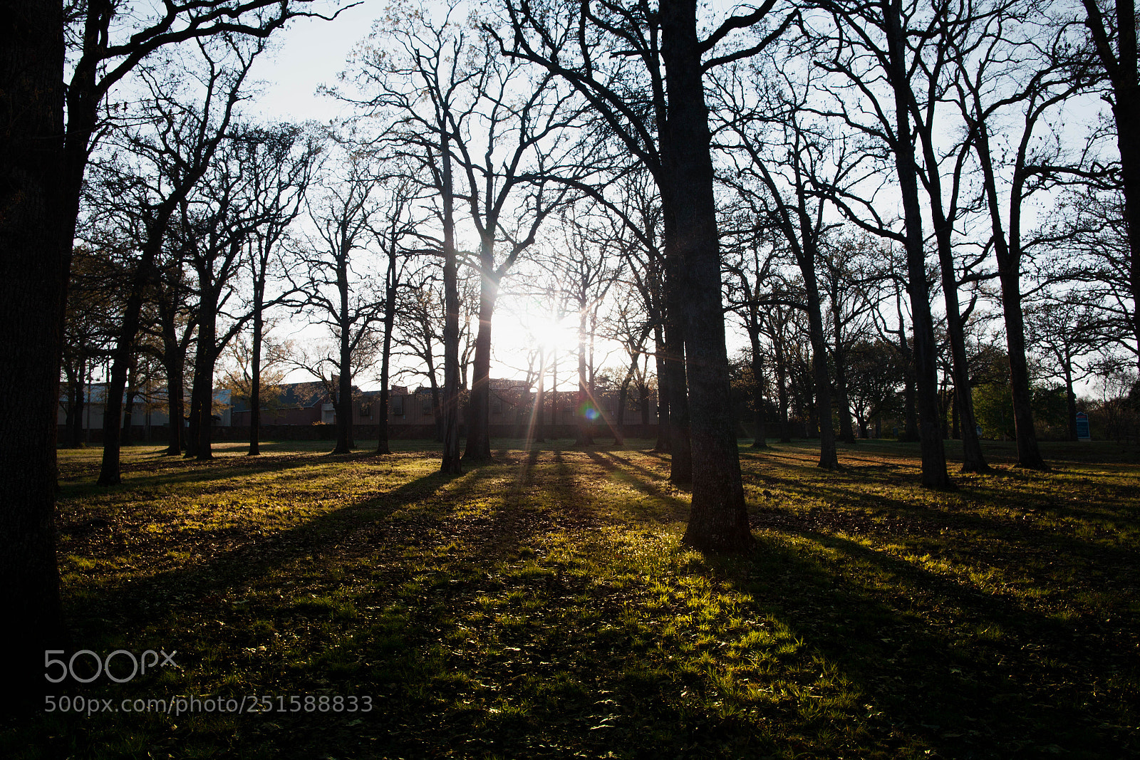 Canon EOS 5D Mark II sample photo. Untitled (of ) photography