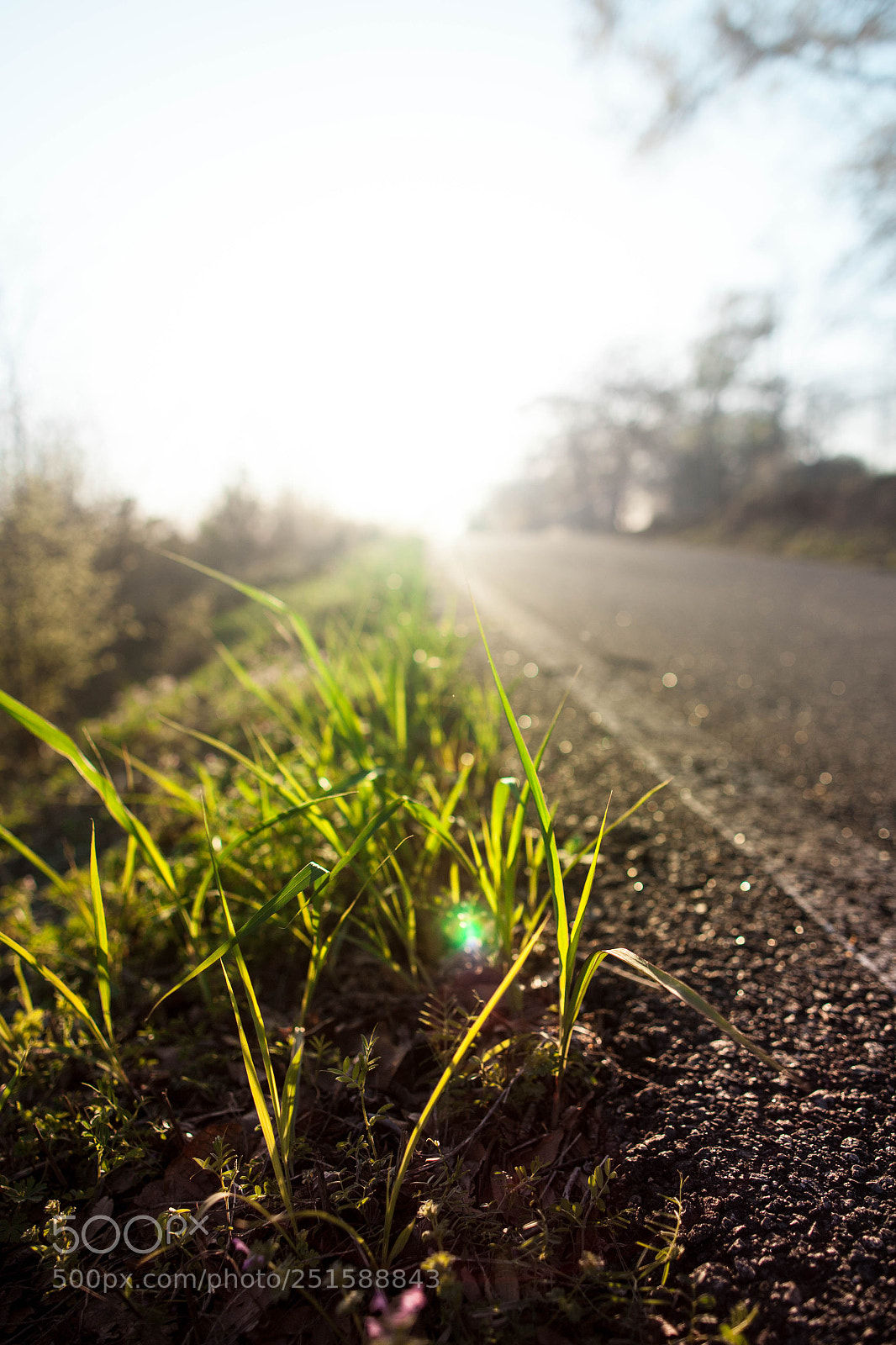 Canon EOS 5D Mark II sample photo. Untitled (of ) photography
