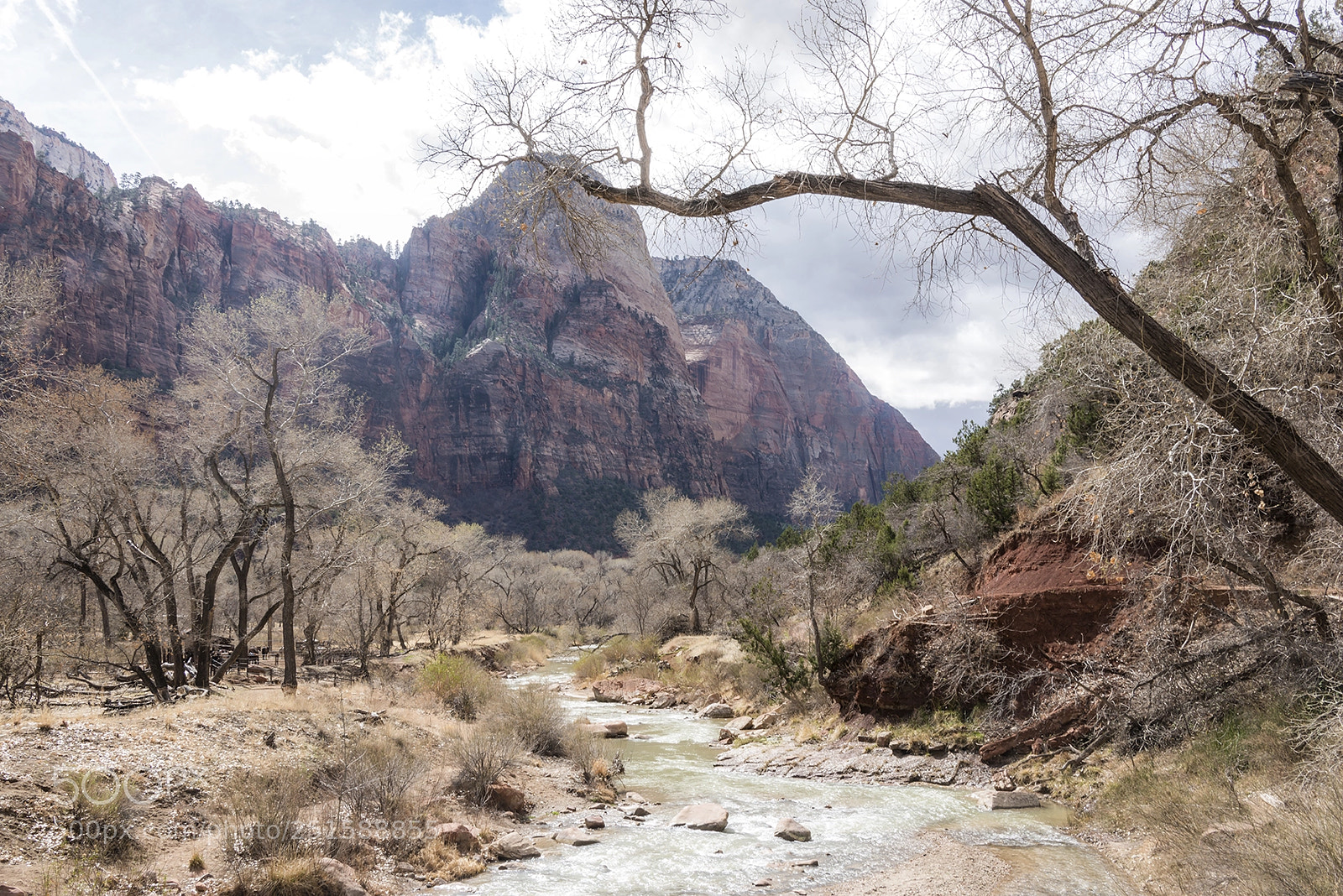 Nikon D800 sample photo. Virgin river photography
