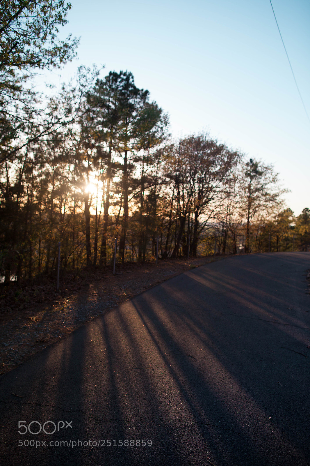 Canon EOS 5D Mark II sample photo. Untitled (of ) photography