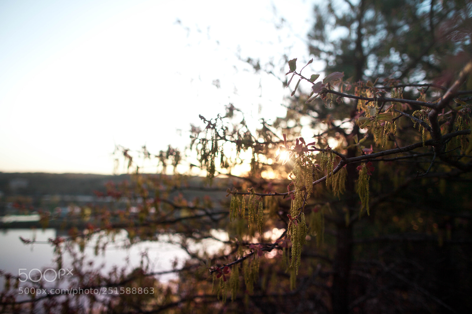 Canon EOS 5D Mark II sample photo. Untitled (of ) photography