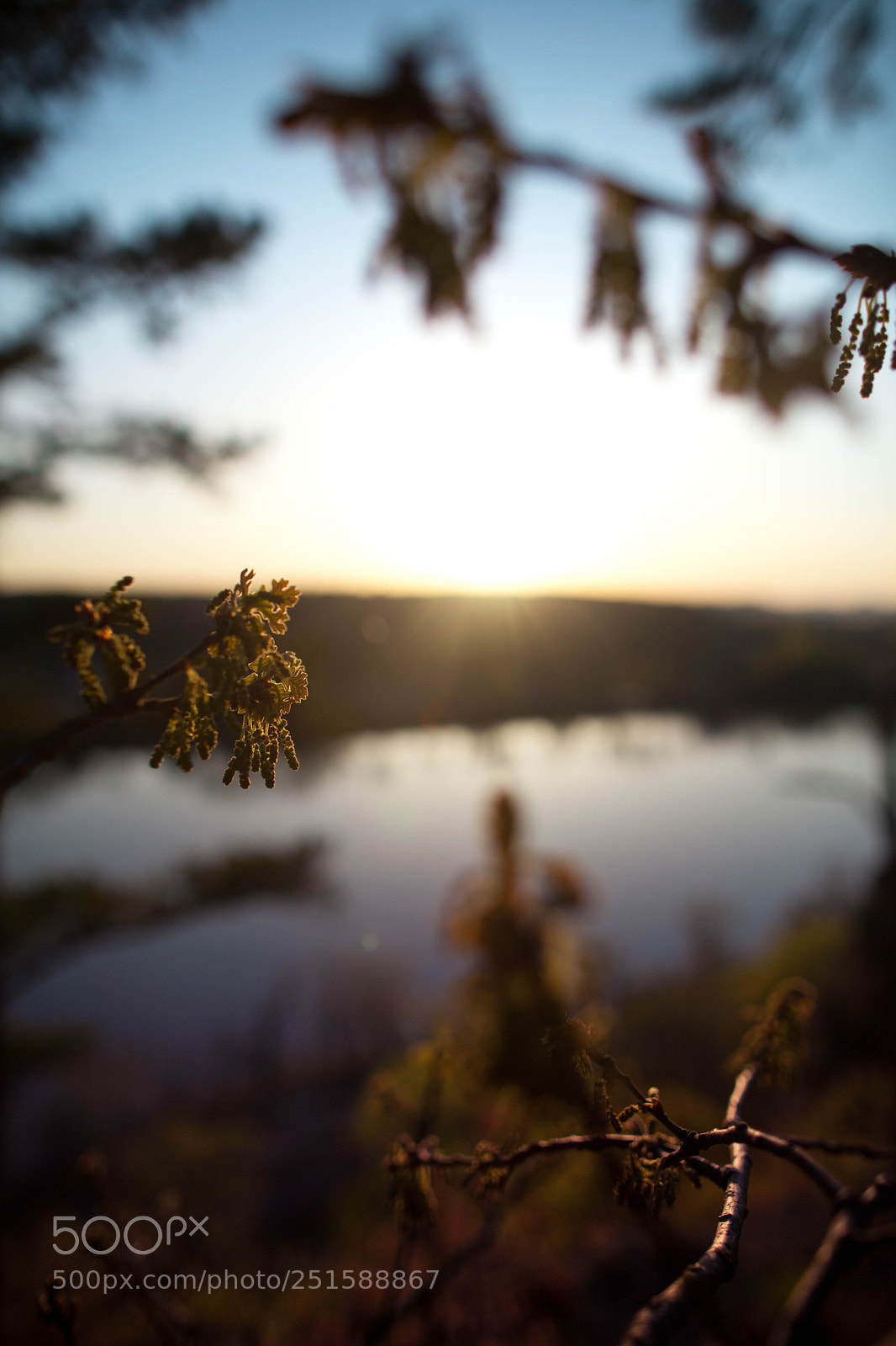 Canon EOS 5D Mark II sample photo. Untitled (of ) photography
