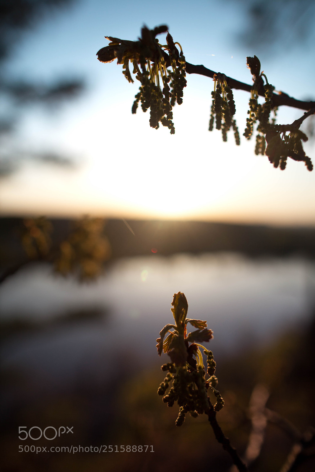 Canon EOS 5D Mark II sample photo. Untitled (of ) photography