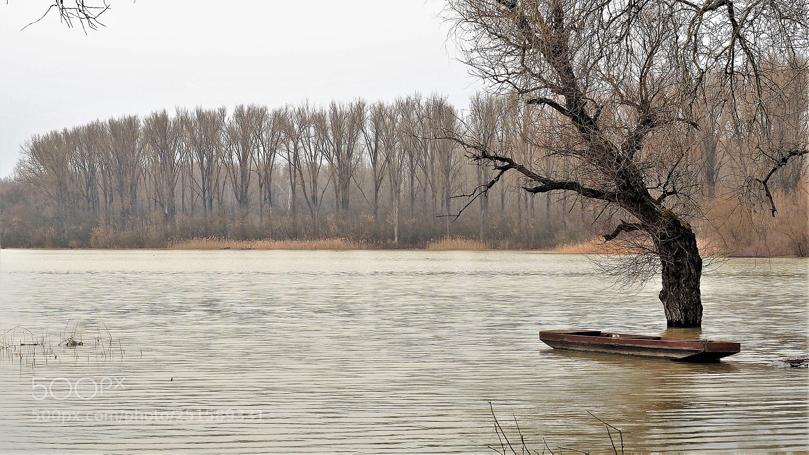 Olympus OM-D E-M5 II sample photo. Flash flooding 2. photography