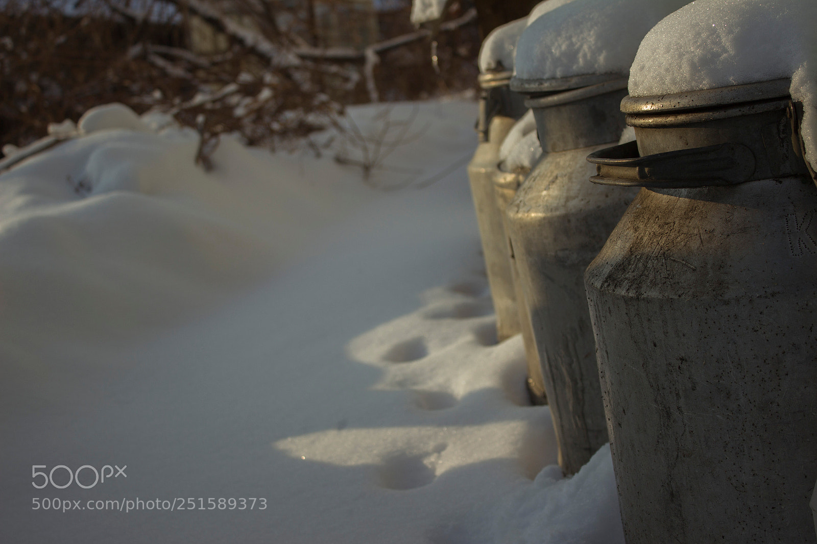 Canon EOS 600D (Rebel EOS T3i / EOS Kiss X5) sample photo. Snow, cat and ect. photography