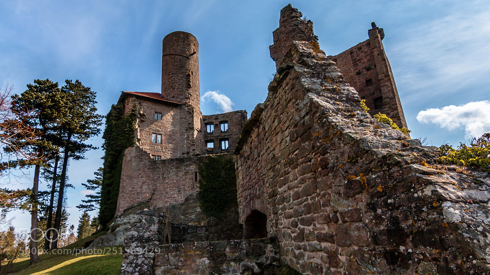 Canon EOS 70D sample photo. Old castle ruins photography