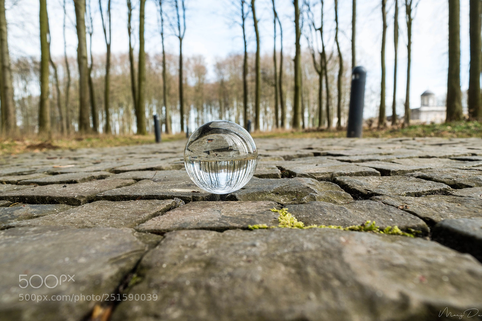 Nikon D5500 sample photo. Sur les pav s photography