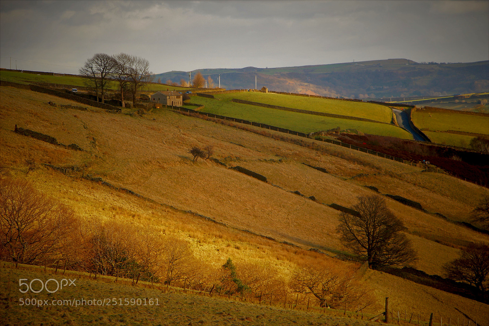 Canon EOS 100D (EOS Rebel SL1 / EOS Kiss X7) sample photo. Sunlit moorland pastures photography
