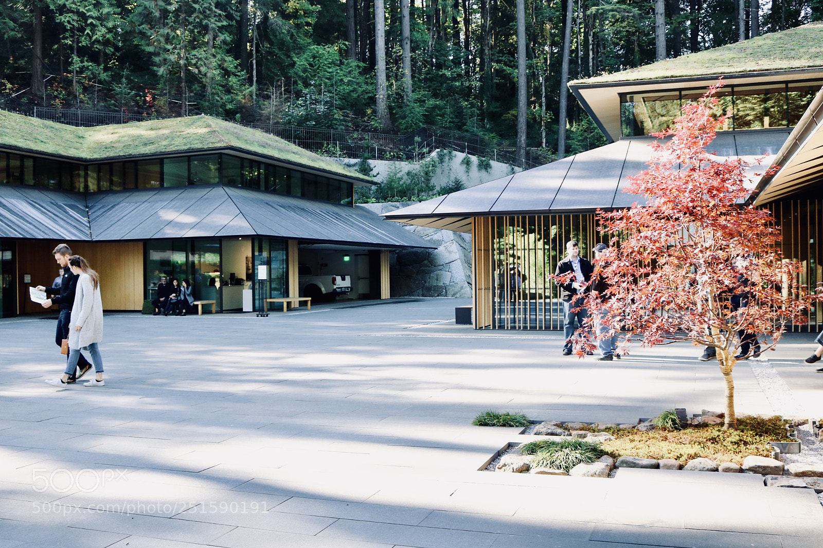 Canon EOS 750D (EOS Rebel T6i / EOS Kiss X8i) sample photo. Japanese garden photography